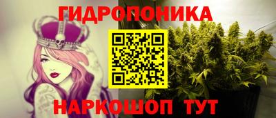 стаф Бузулук