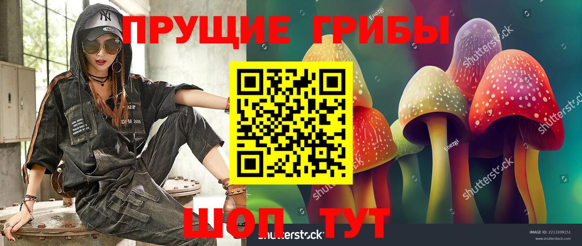 Феодосия  Псилоцибиновые грибы MAGIC MUSHROOMS  Вход с VPN 